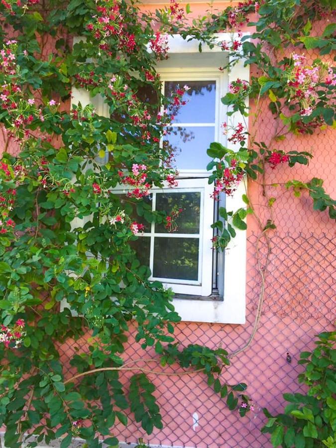 Ferienwohnung Lei Mi Er Hua Yuan Min Su Pinghe Exterior foto