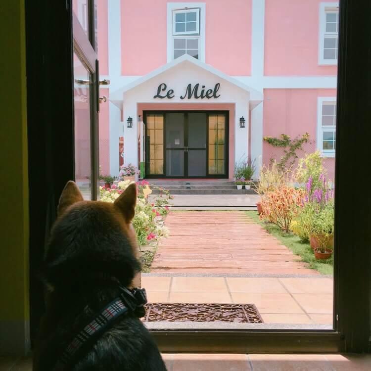 Ferienwohnung Lei Mi Er Hua Yuan Min Su Pinghe Exterior foto