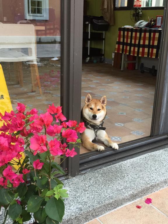 Ferienwohnung Lei Mi Er Hua Yuan Min Su Pinghe Exterior foto